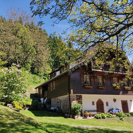 Ferienwohnungen Vogt'S Libding Bad Rippoldsau-Schapbach Extérieur photo
