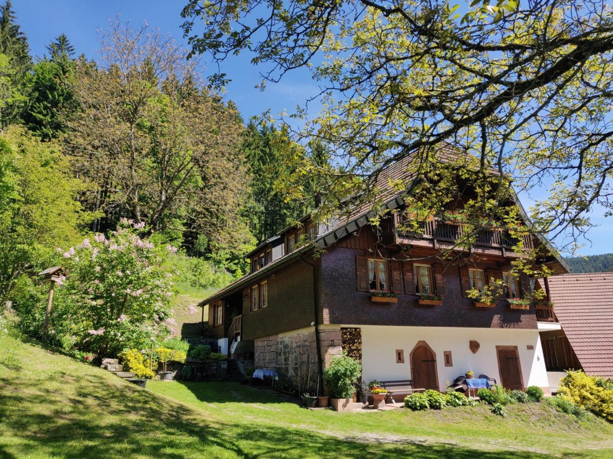 Ferienwohnungen Vogt'S Libding Bad Rippoldsau-Schapbach Extérieur photo