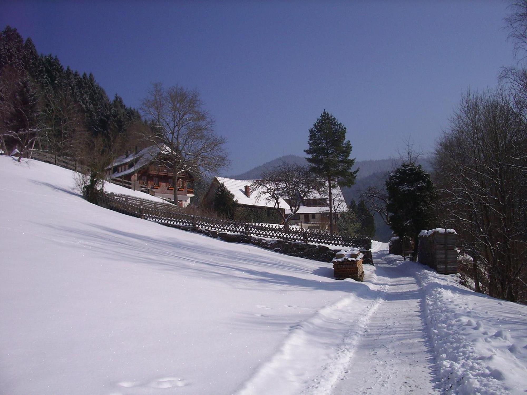 Ferienwohnungen Vogt'S Libding Bad Rippoldsau-Schapbach Extérieur photo
