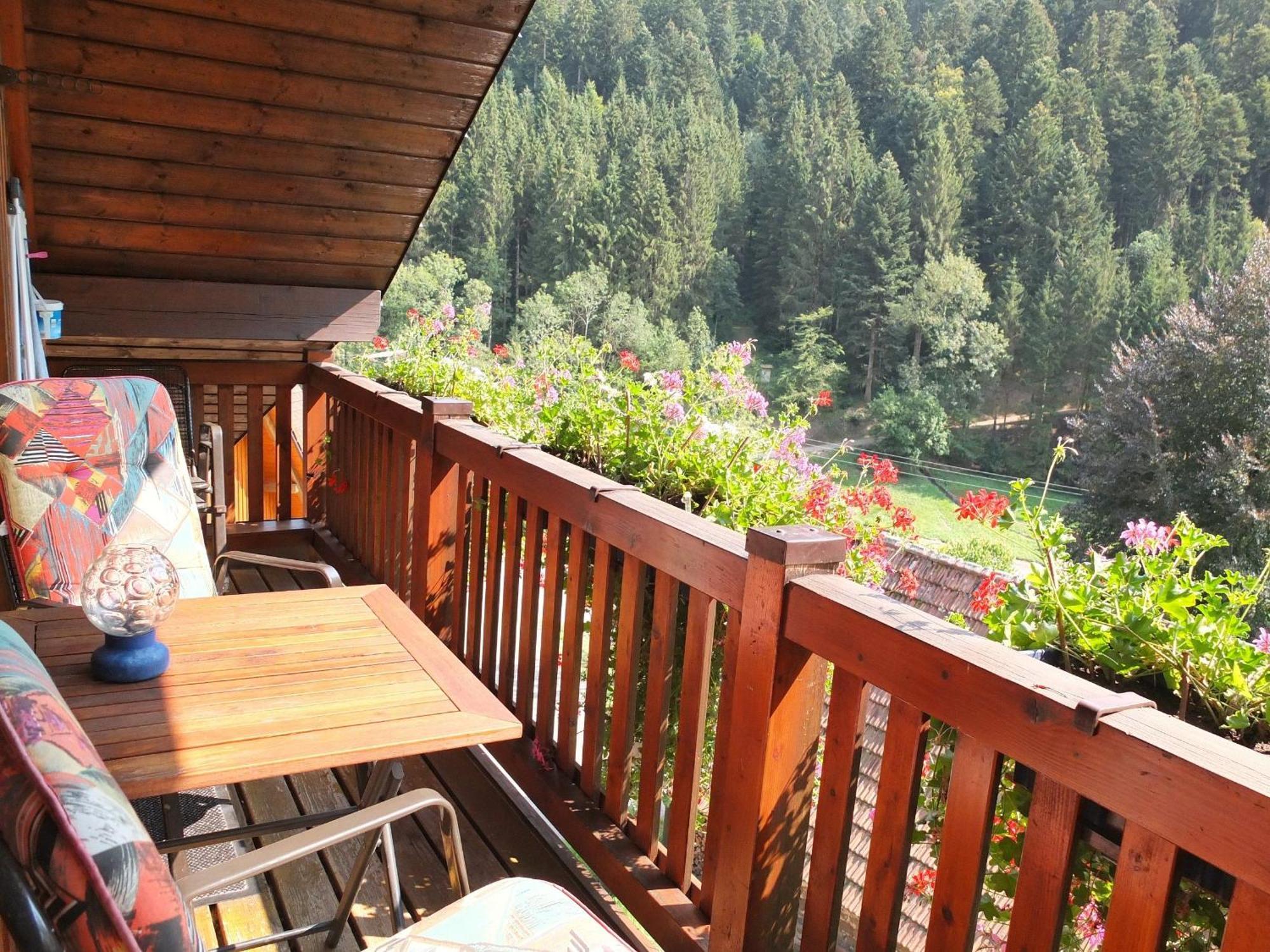 Ferienwohnungen Vogt'S Libding Bad Rippoldsau-Schapbach Extérieur photo